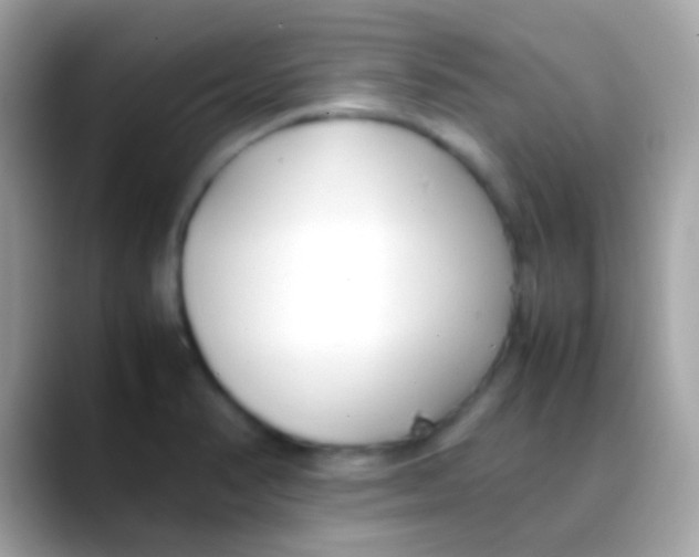 X0000088051374200706011334