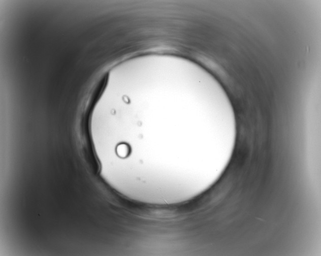 X0000088051375200706011334