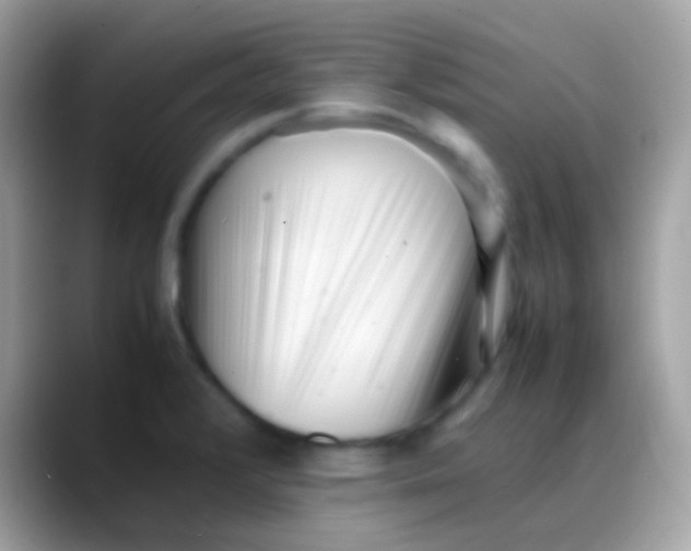 X0000088051376200706011334
