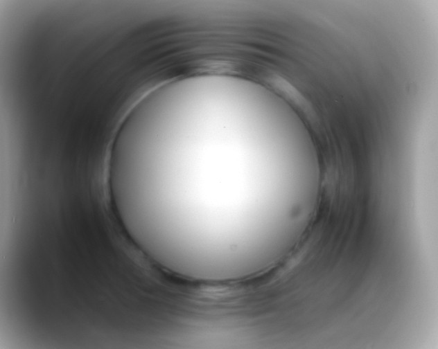 X0000088051378200706011334