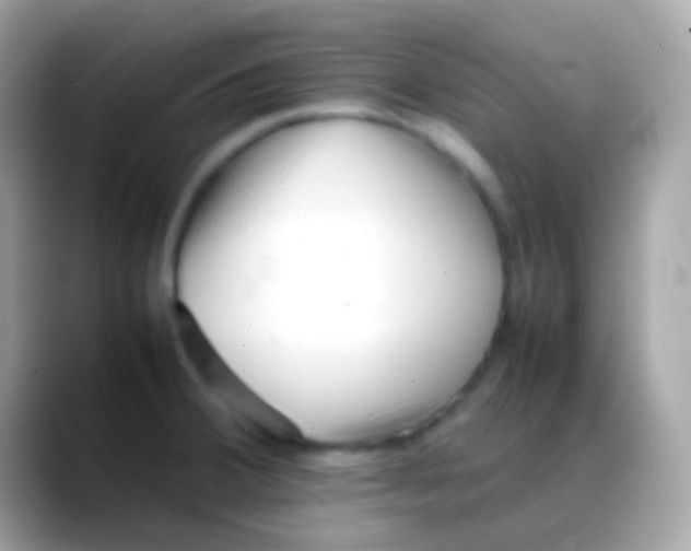 X0000088051380200706011334