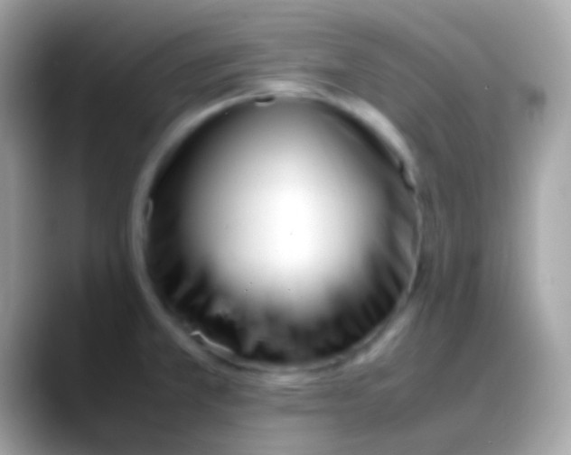 X0000088051381200706011334