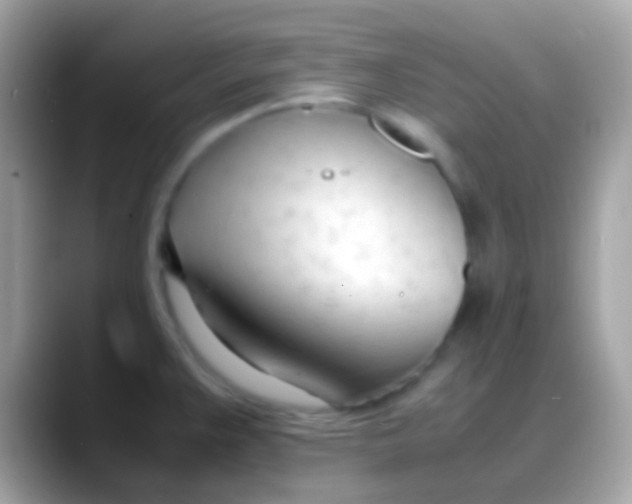 X0000088051383200706011334
