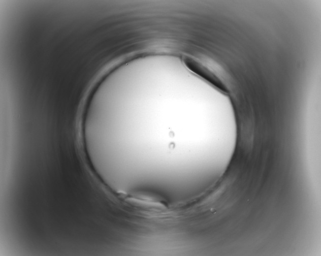 X0000088051384200706011334