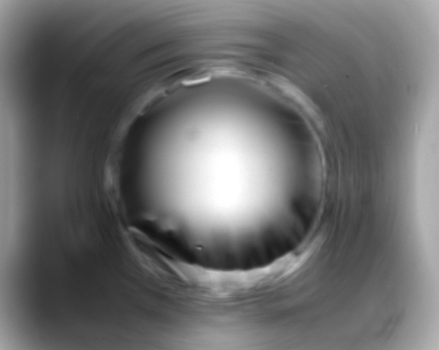 X0000088051385200706011334