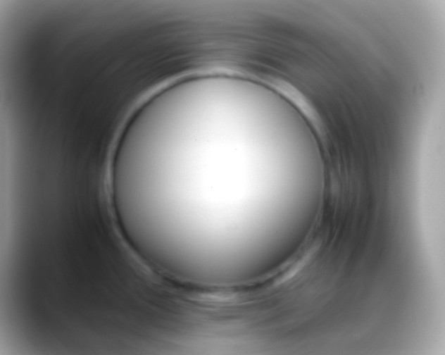 X0000088051388200706011334