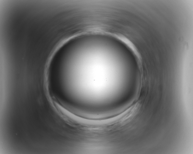 X0000088051389200706011334