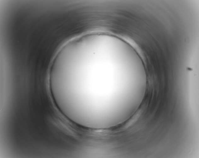 X0000088051390200706011334