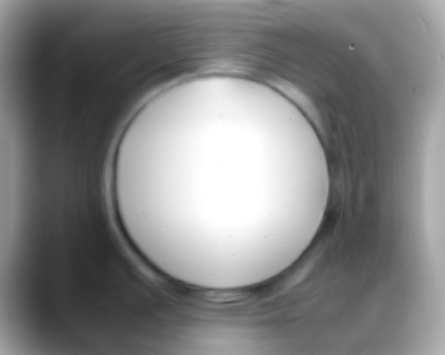 X0000088051391200706011334