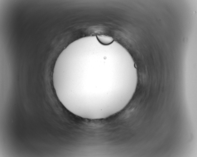 X0000088051393200706011333