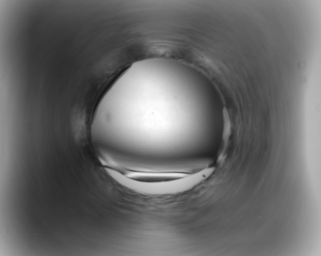X0000088051394200706011333