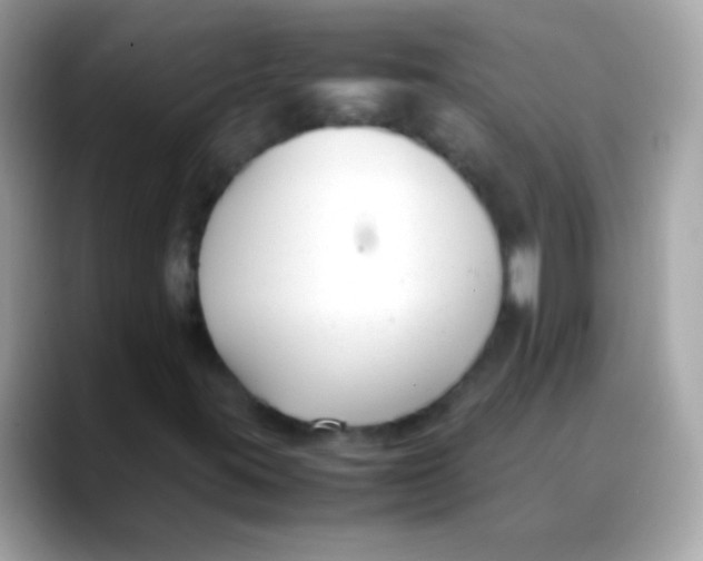 X0000088051395200706011333