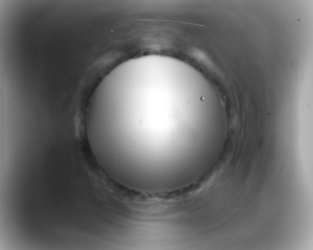 X0000088051398200706011333