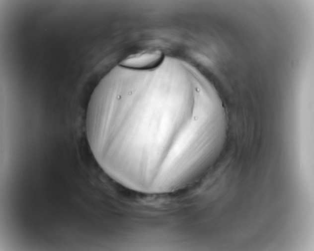 X0000088051399200706011334
