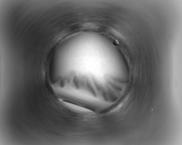X0000088051401200706011334