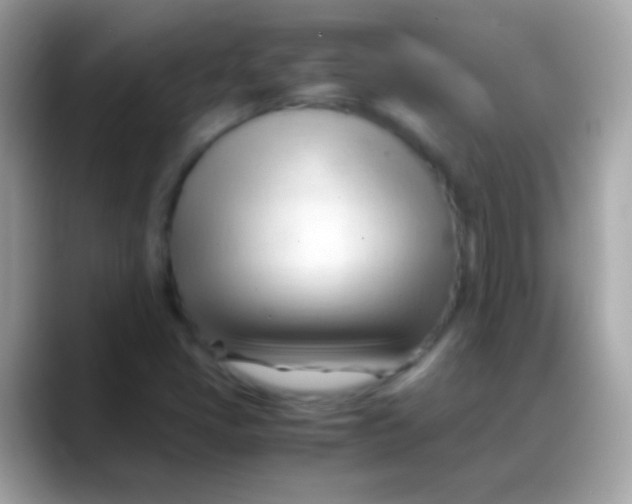 X0000088051405200706011334