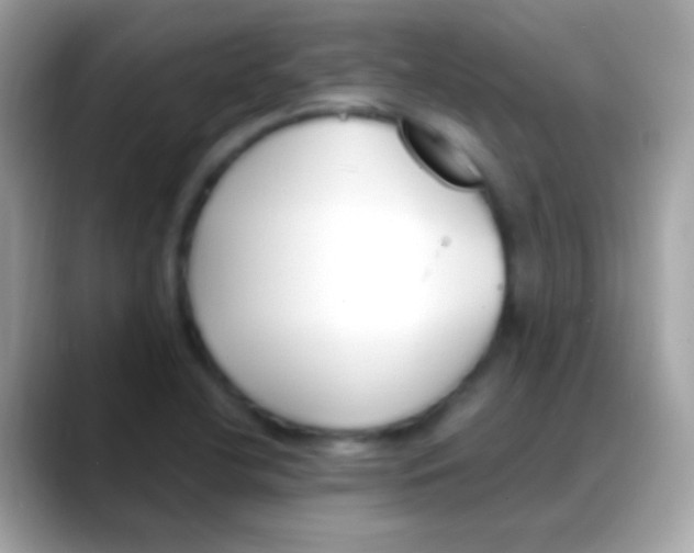 X0000088051412200706011334