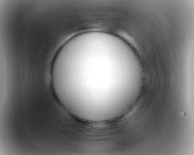X0000088051415200706011334
