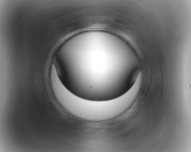 X0000088051422200706011334