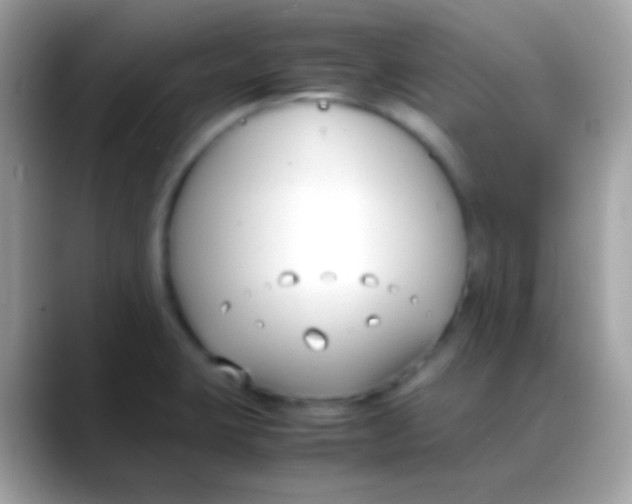 X0000088051423200706011334
