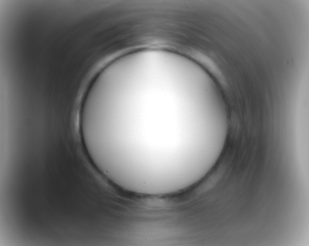X0000088051424200706011334