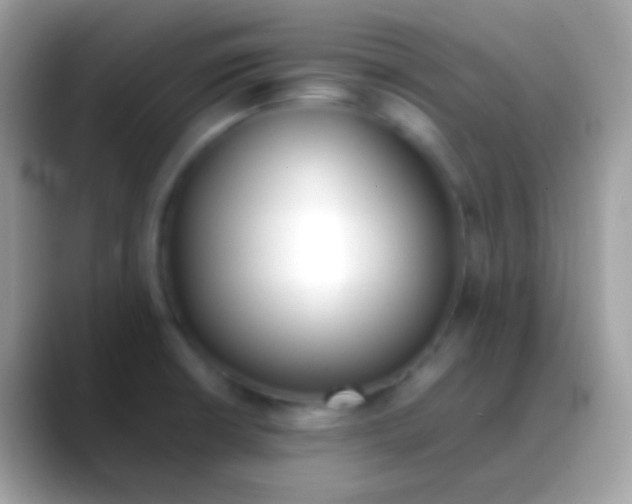 X0000088051426200706011334