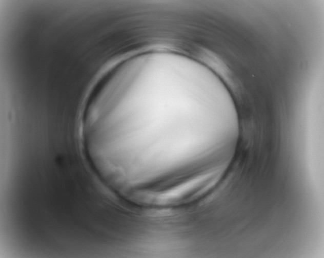 X0000088051428200706011334