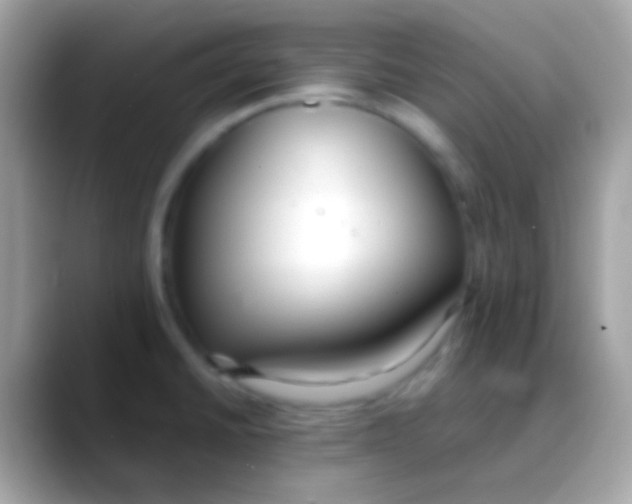 X0000088051430200706011334