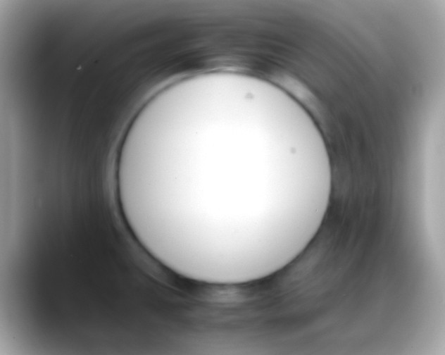 X0000088051431200706011334
