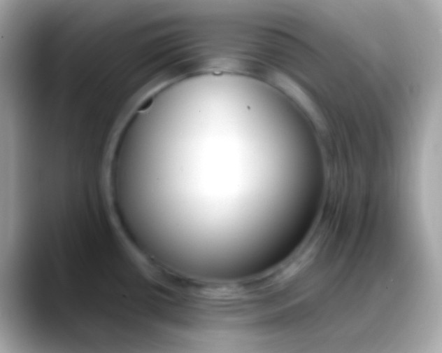 X0000088051434200706011334