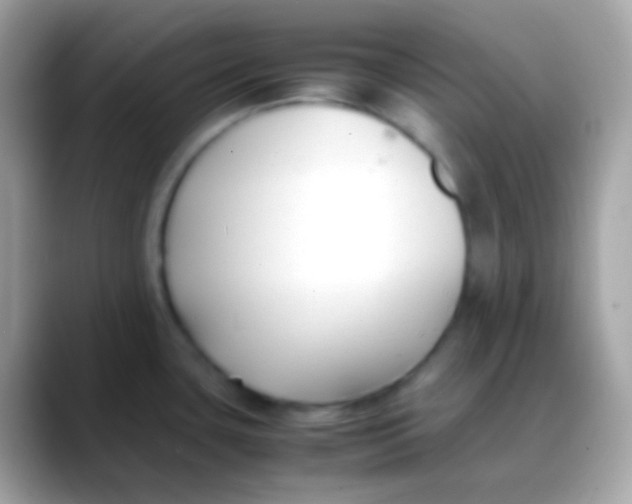 X0000088051435200706011334