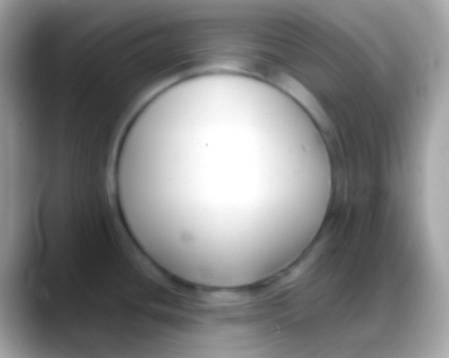 X0000088051436200706011334