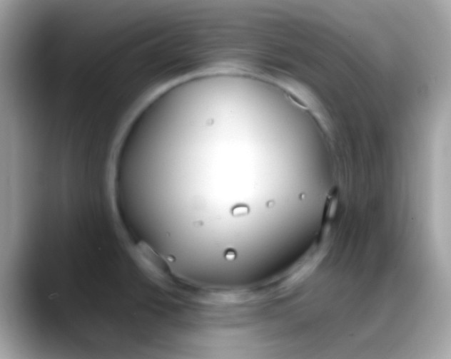 X0000088051438200706011334