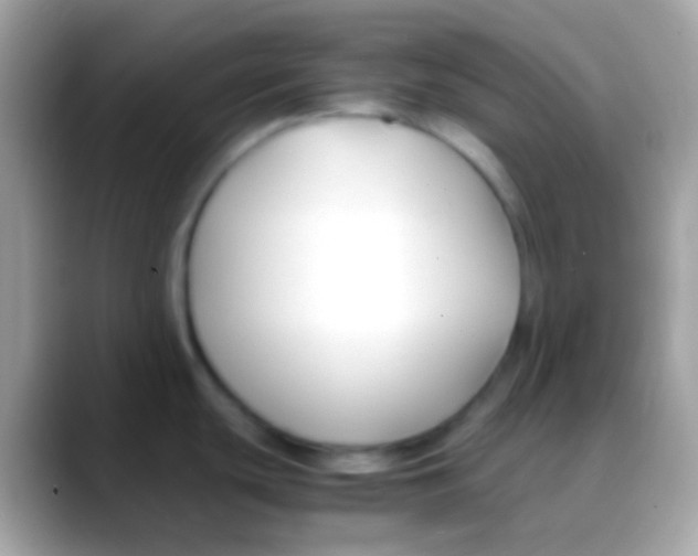 X0000088051439200706011334