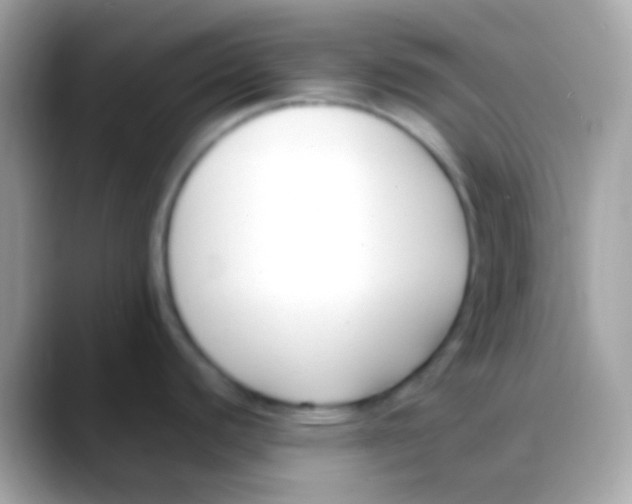 X0000088051440200706011334