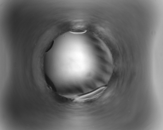 X0000088051441200706011333