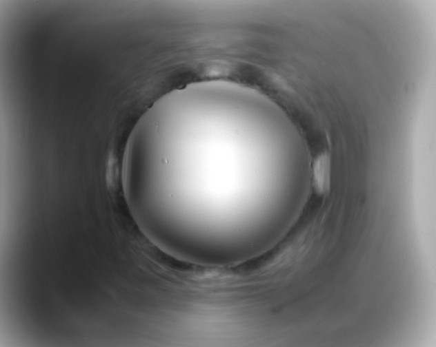 X0000088051443200706011333