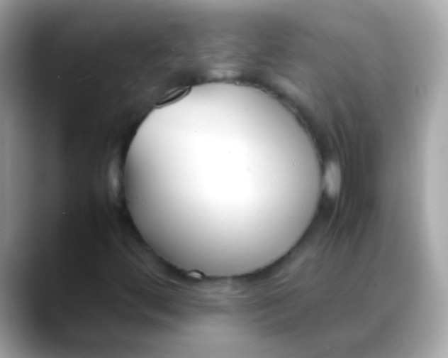 X0000088051444200706011333