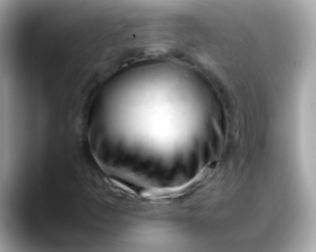 X0000088051445200706011333