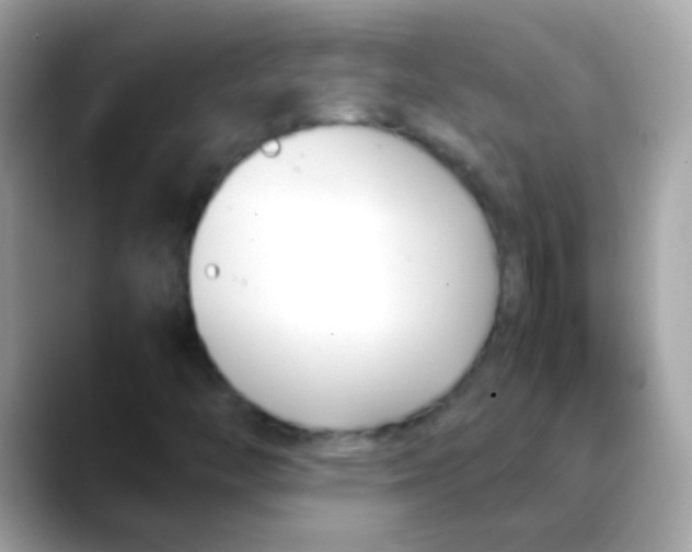X0000088051446200706011333