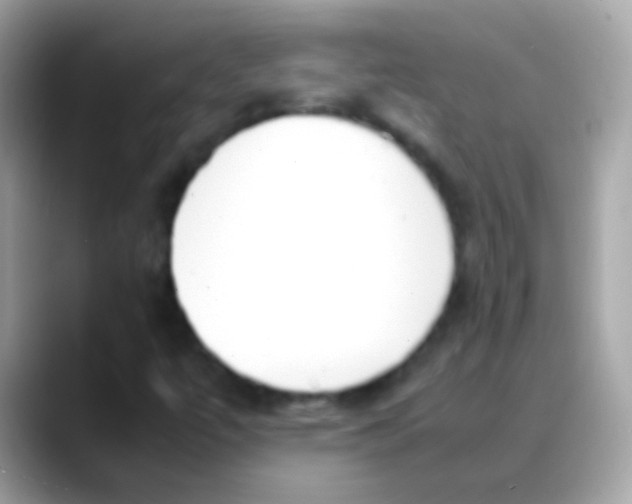X0000088051447200706011333