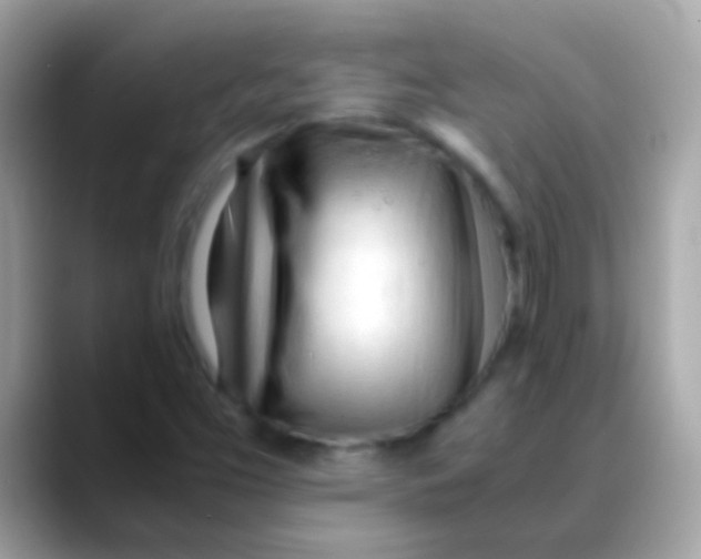 X0000088051453200706011333