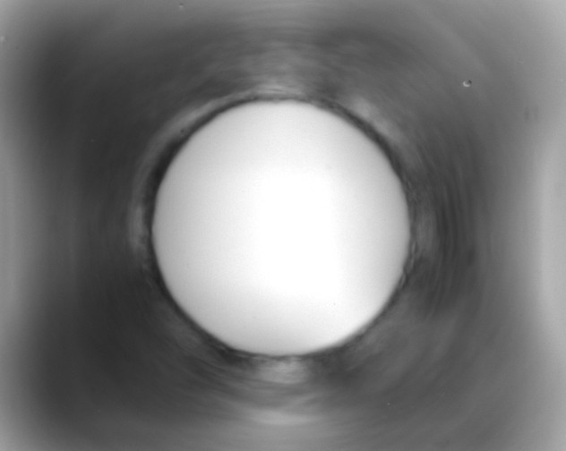 X0000088051454200706011333