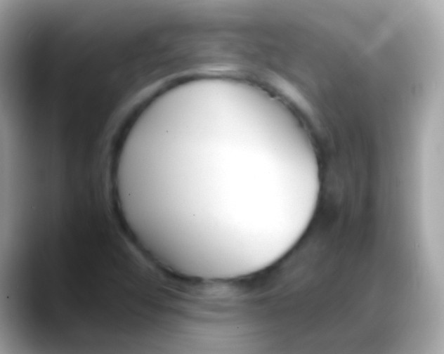 X0000088051456200706011333