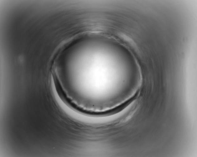 X0000088051457200706011333