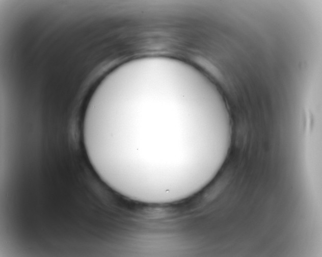 X0000088051458200706011333