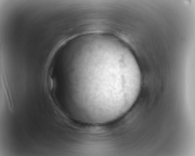 X0000088051459200706011333