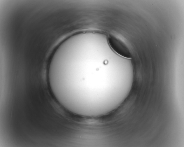 X0000088051460200706011333
