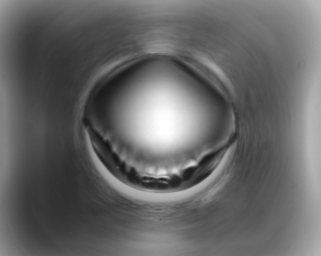 X0000088051461200706011333