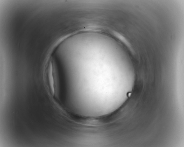 X0000088051463200706011333